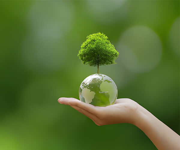 Luwei Pharmaceutical Group Co., Ltd